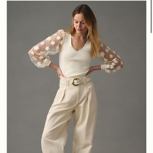 DOLAN Sheer-Sleeve Appliqué Sweater